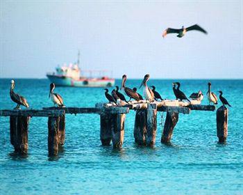 Wayak Holbox Hotel Kültér fotó